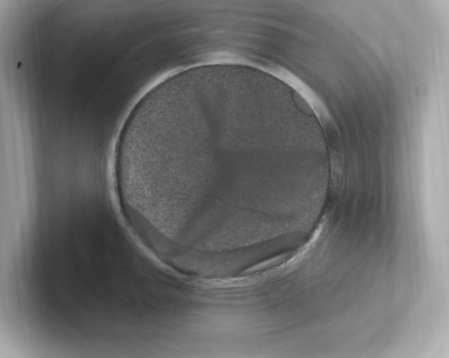 X0000101101142200807241023