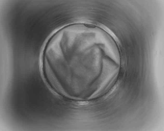 X0000101101144200807241023