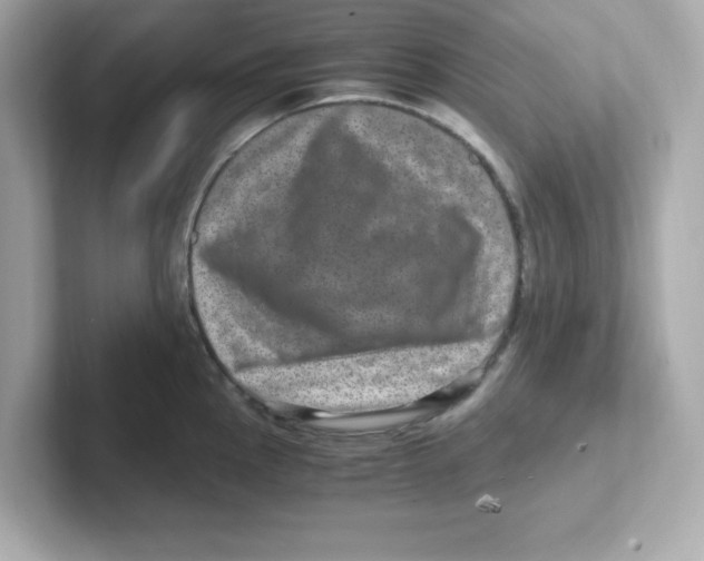 X0000101101145200807241023