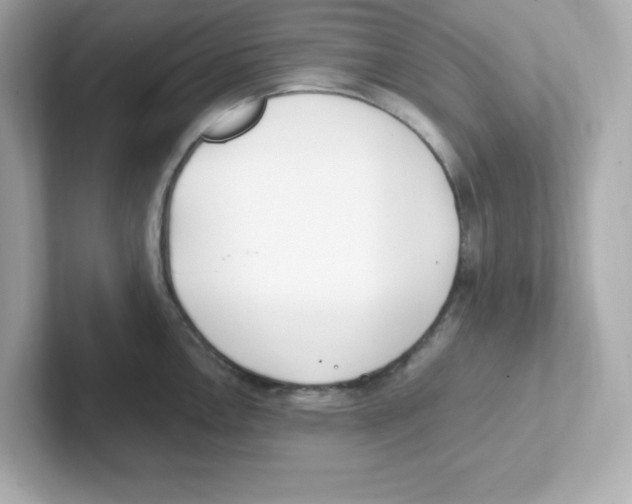 X0000101101146200807241023