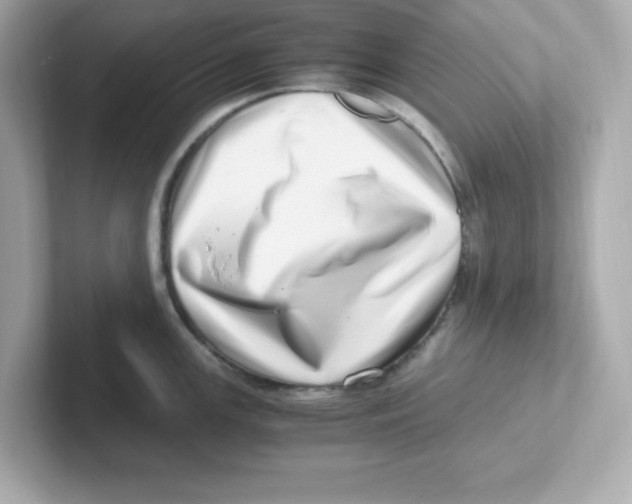 X0000101101147200807241023