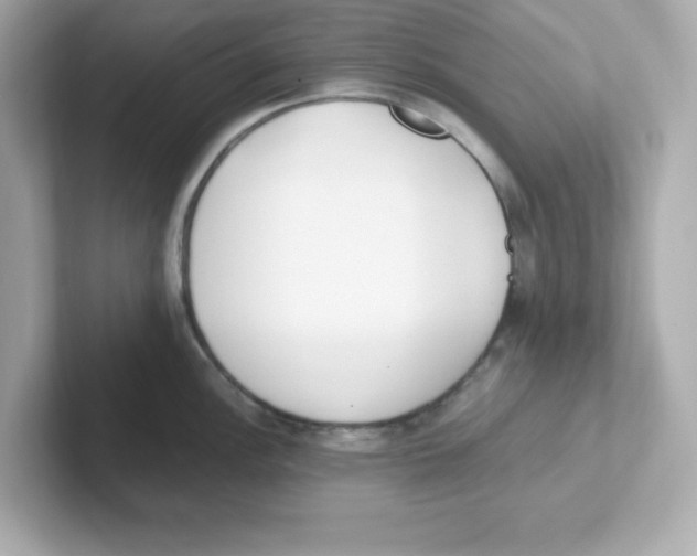 X0000101101148200807241023