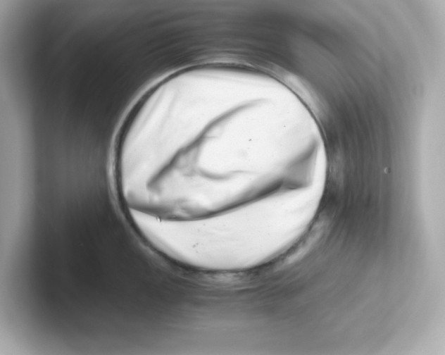 X0000101101149200807241023