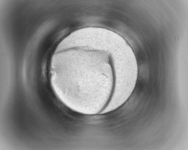 X0000101101150200807241023