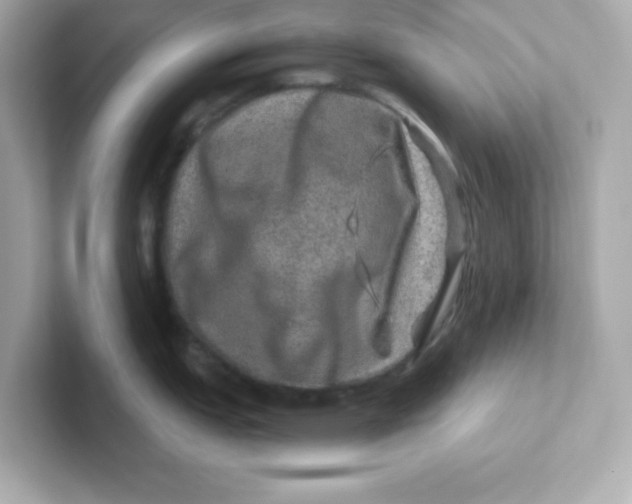 X0000101101151200807241023