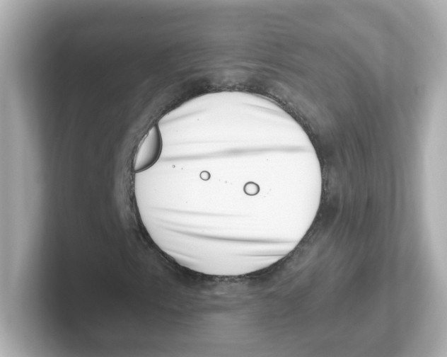 X0000101101153200807241022