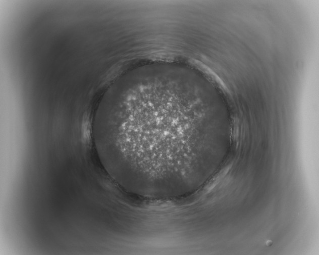 X0000101101154200807241022