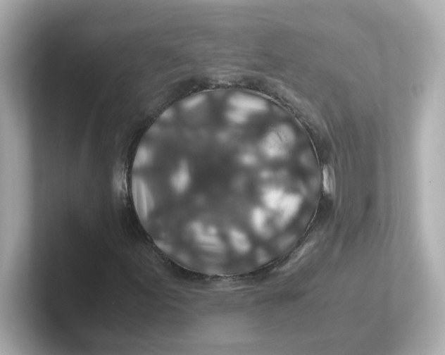 X0000101101155200807241022