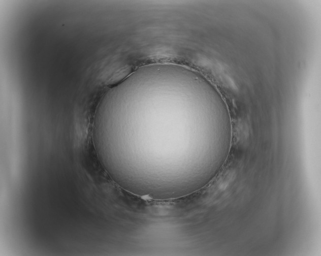 X0000101101157200807241022
