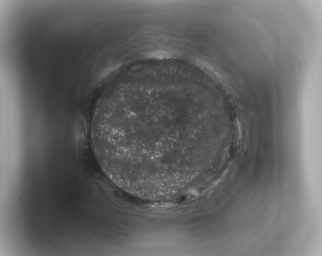 X0000101101158200807241022