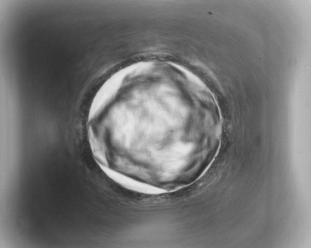 X0000101101159200807241022