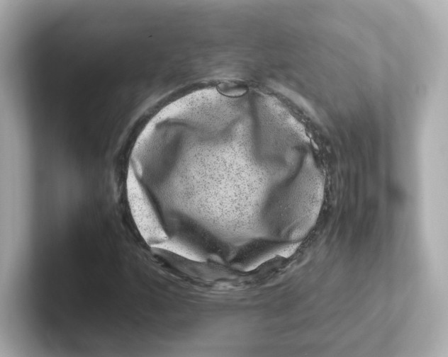 X0000101101160200807241022
