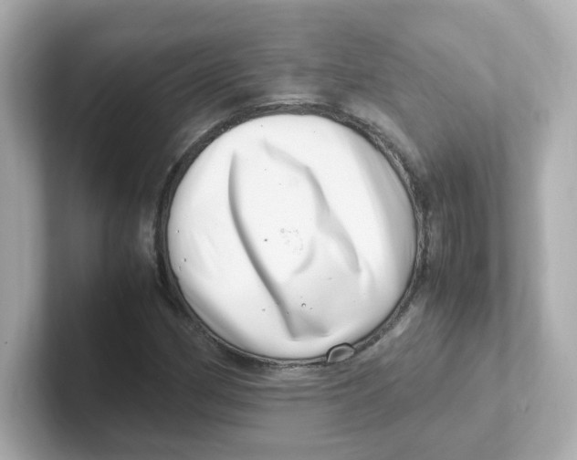 X0000101101162200807241022