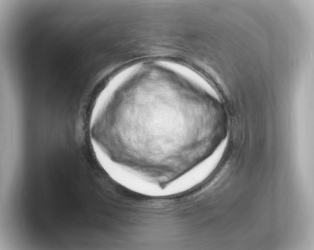 X0000101101163200807241022