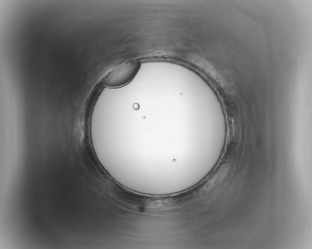 X0000101101165200807241022