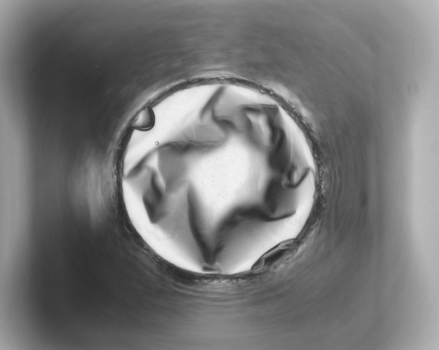X0000101101167200807241022