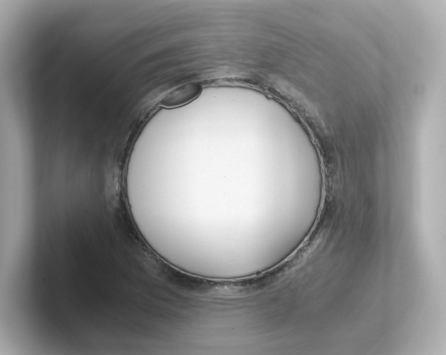 X0000101101169200807241022