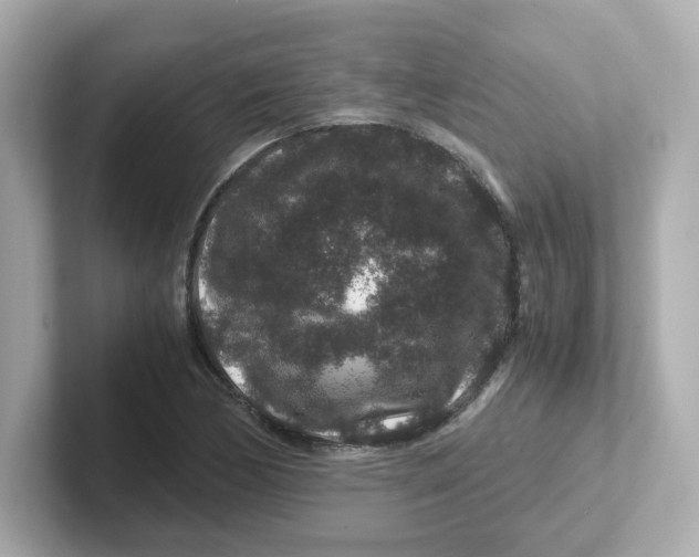 X0000101101170200807241022