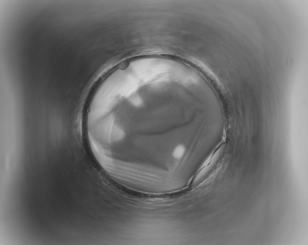 X0000101101173200807241022
