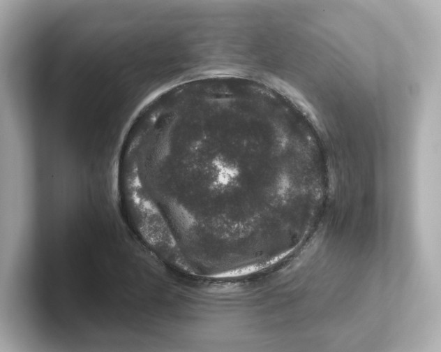 X0000101101174200807241022
