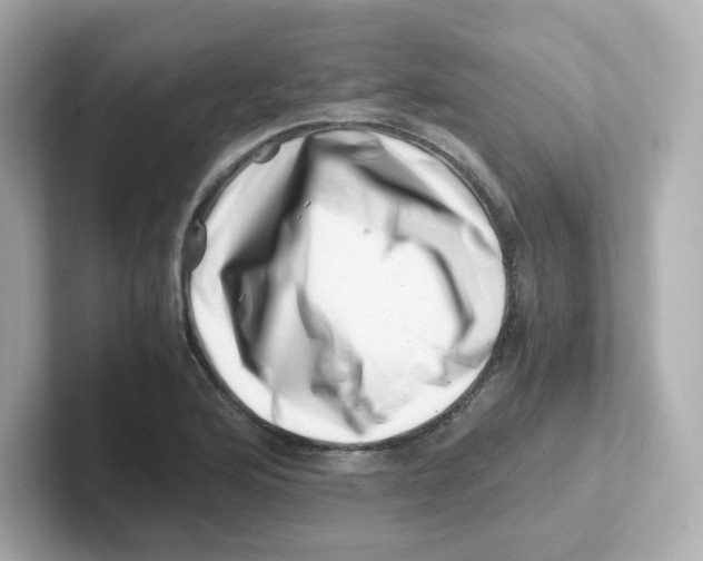 X0000101101176200807241022