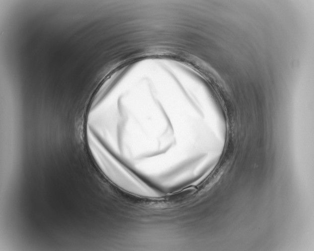 X0000101101177200807241022