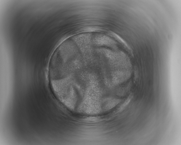 X0000101101178200807241022