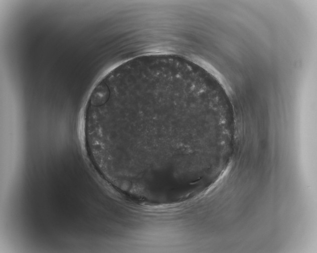 X0000101101179200807241022