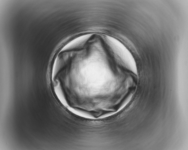 X0000101101180200807241022