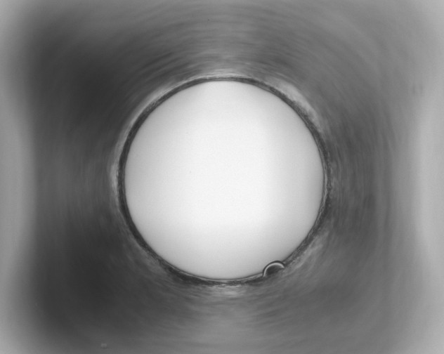X0000101101181200807241022