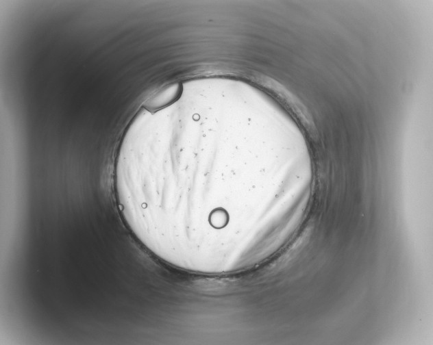 X0000101101185200807241022