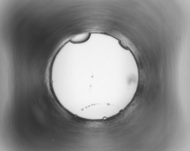 X0000101101187200807241022