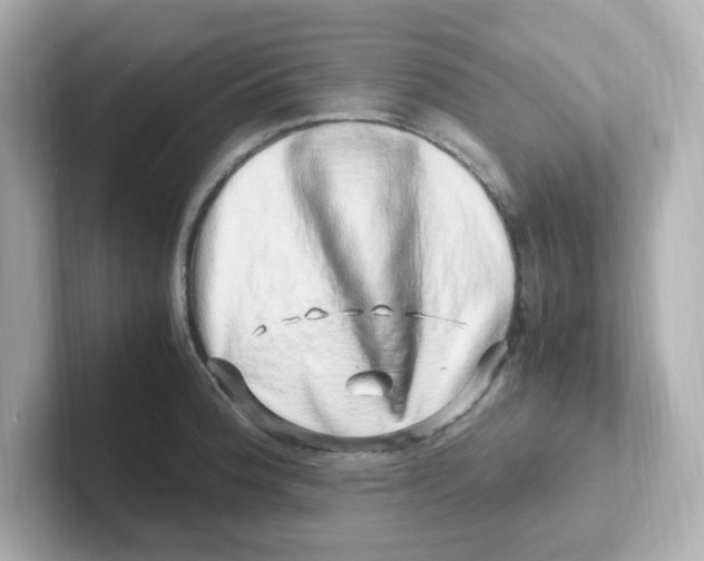 X0000101101188200807241022