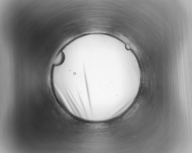 X0000101101189200807241022
