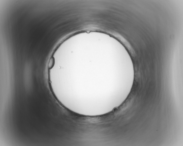 X0000101101191200807241022