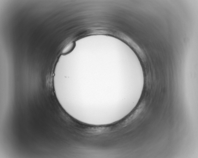 X0000101101193200807241022