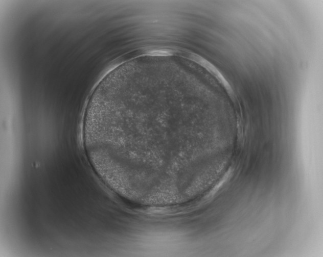 X0000101101194200807241022