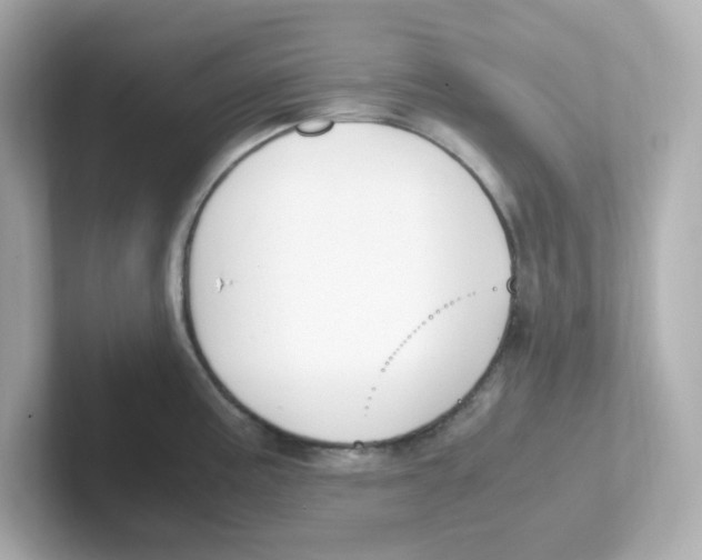 X0000101101195200807241022