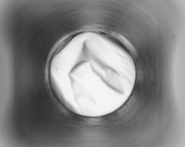 X0000101101196200807241022