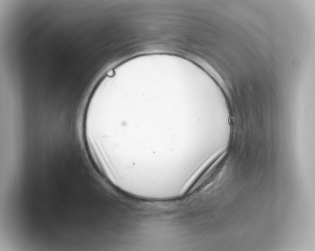 X0000101101197200807241022