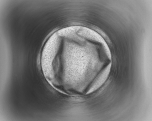 X0000101101198200807241021