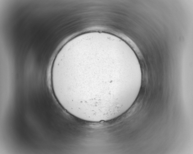 X0000101101199200807241021