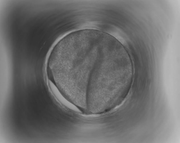 X0000101101200200807241021