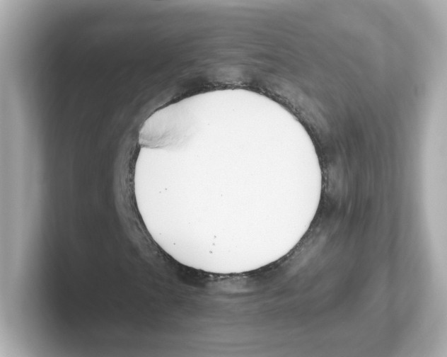 X0000101101201200807241021