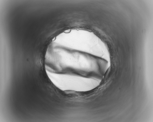 X0000101101206200807241021