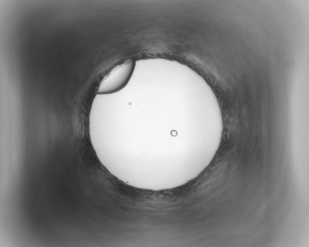 X0000101101207200807241021