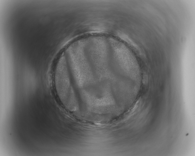 X0000101101208200807241021