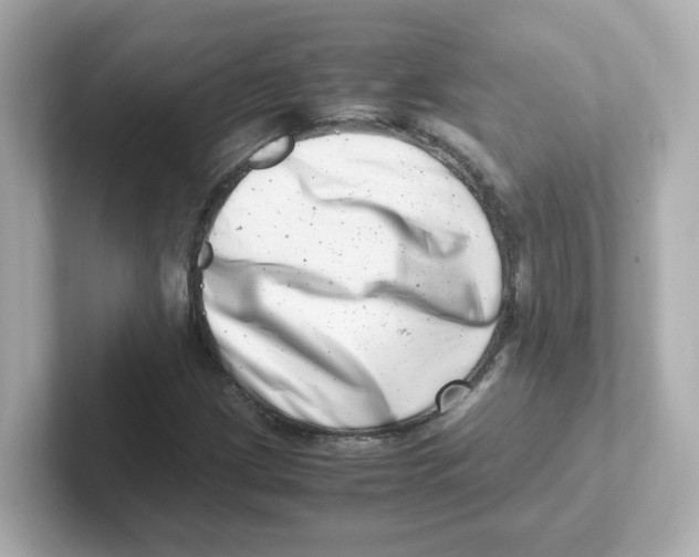X0000101101209200807241021