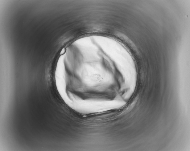 X0000101101210200807241021