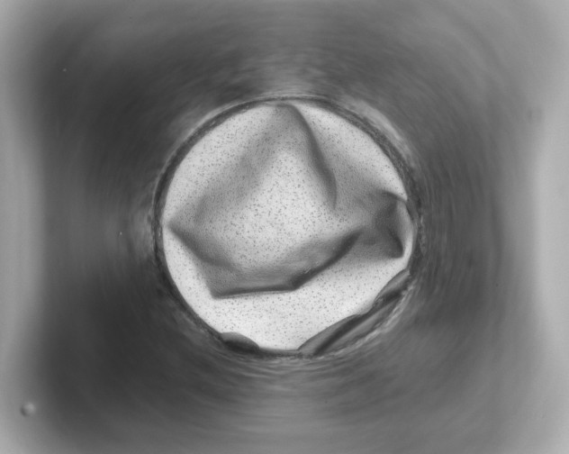 X0000101101212200807241021